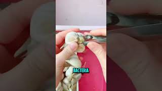 Healing Foods You Shouldnt Ignore