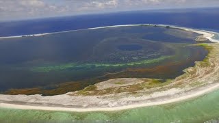Echoes of the World - Clipperton, a Treasure of Biodiversity
