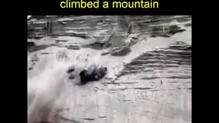 VID 20161213 WA0035