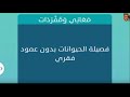 فصيلة الحيوانات بدون عمود فقري   معاني و مفردات