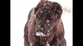 Big News Tosa, Caucasian, Gampr, And Much More Coming Soon