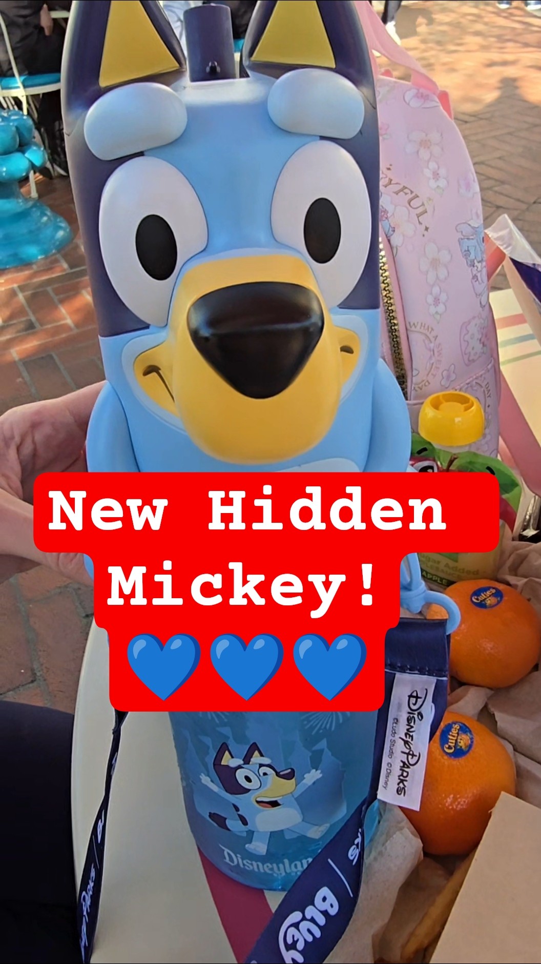 POV: I buy a Bluey Sipper at Disneyland and find a new Hidden