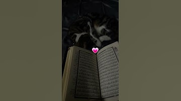 الحمدلله💗#راحة نفسية💗#سورة الفلق🐼💗✋🏻#skz#stray kids#quran#قرآن🐼💗✋🏻