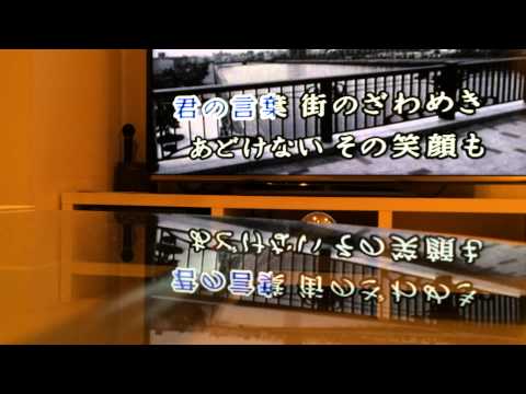 寂しさは秋の色(1991 WANDS)