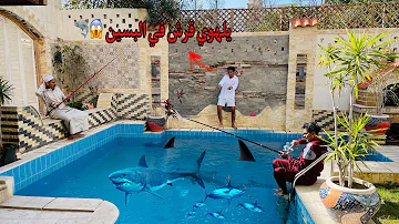 لما جدك يصطاد سمك من البسين🎣😱 /Bassem Otaka/ اوتاكا