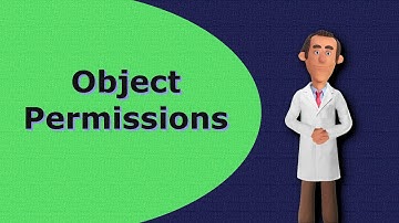 Object Permissions in Salesforce