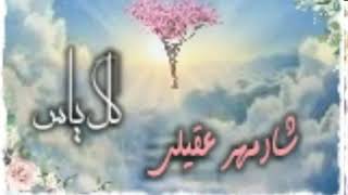 شادمهر عقیلی. گل یاس