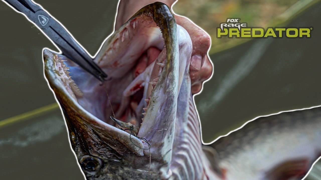 FLOAT FISHING DEADBAITS FOR PIKE | Pike Handling and Rig Setup! - YouTube