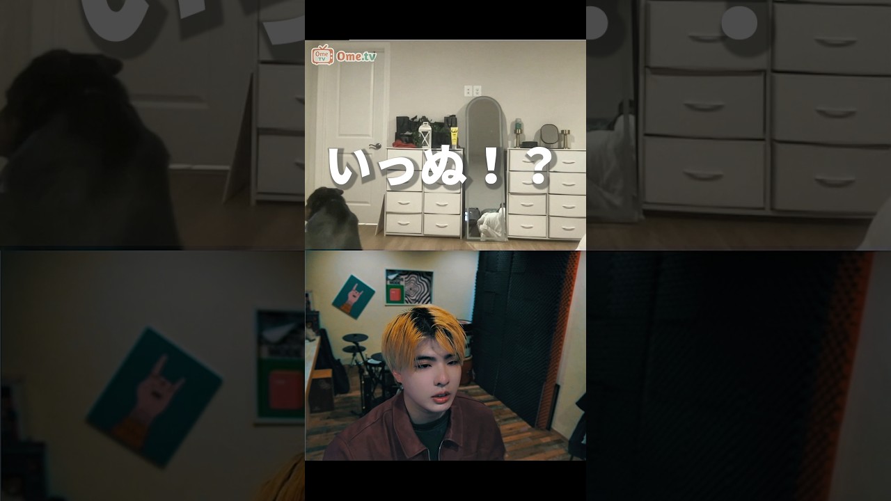 いっぬにドッキリ演奏 @c@crownhead_jp#英会話 #英語 #ドッキリ