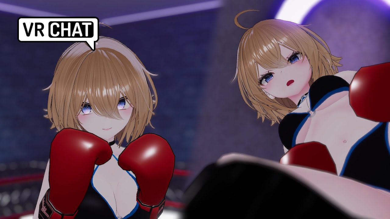Fighting which deal in speed VRchat POV BOXING