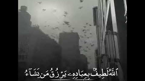 الله لطيف بعباده يرزق من يشاء وهو القوى العزيز || #سورة_الشورى
