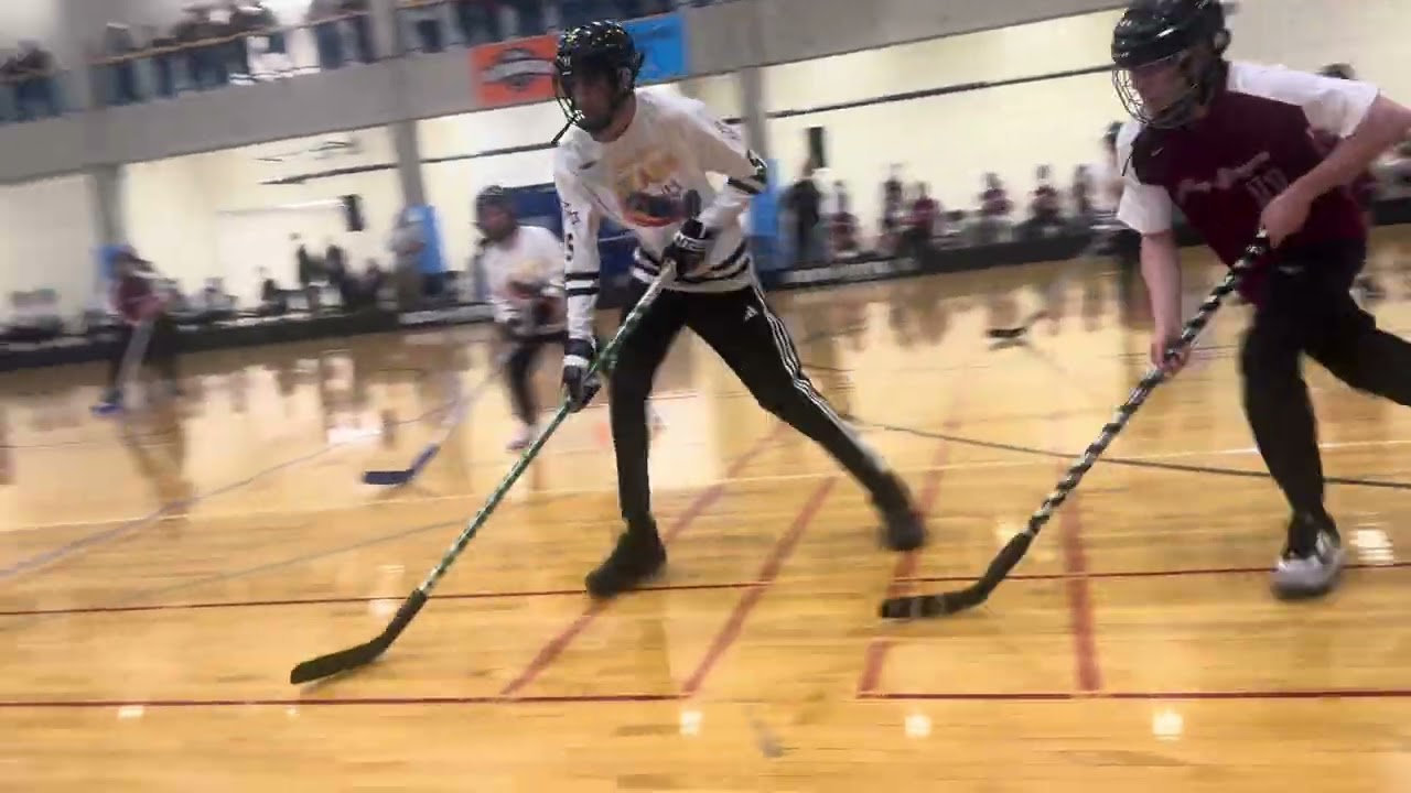 New Prague vs Prior Lake / Shakopee state tournament final 