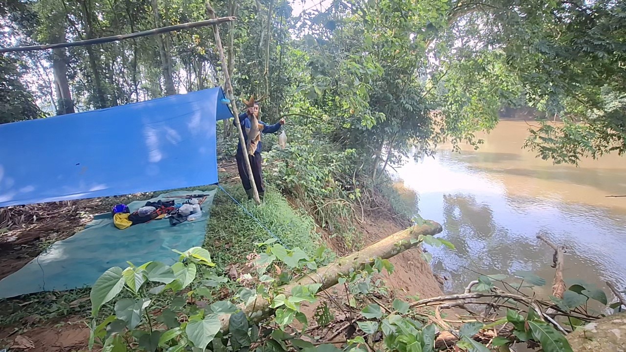 Cam fishing hutan bertebing sarangnya babon ikan purba episode 55