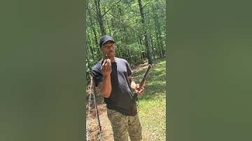 Henry Lever Action 410 (The Axe)