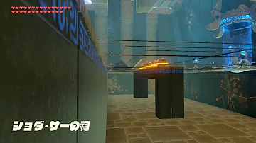 ショダサー ショダサー