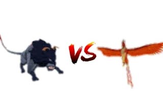 Ci̇lle Kabkaba Vs Anka