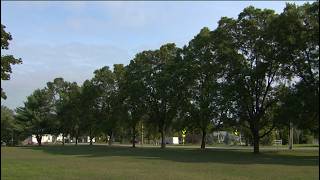 Do Ash Trees Have a Future in Vermont