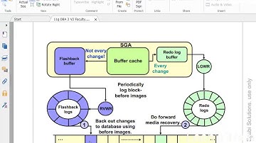 Oracle DBA 11g Tutorial in Bangla: Performing Flashback Database