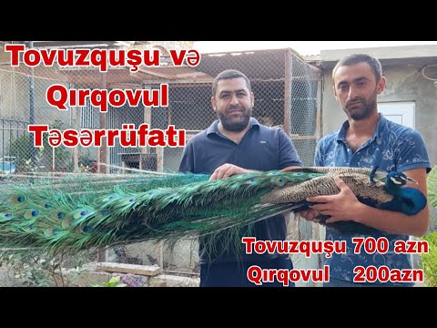 Tovuzquşu və Qırqovul Təsərrüfatı  #tovuzqusu #qirqovul #mubarizemintv