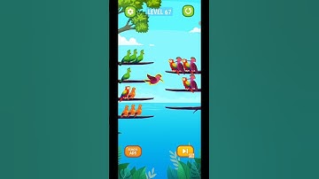 Bird Sort Puzzle Level 67 Gameplay Android IOS