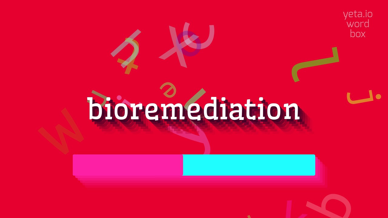 How to say "bioremediation"! (High Quality Voices)