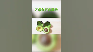 デザインあ やってみた アボカド の集合 Stopmotion Shorts 