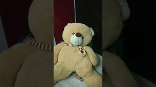game with teddybear fun with cousin's ruby with teddy #shorts
