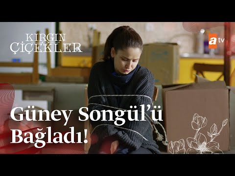 Güney, Songül'ü rehin aldı! | Kırgın Çiçekler Mix Sahneler