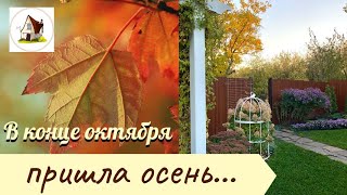 :     . 27.10.24