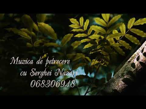 Omule calatorule✨️🔥Serghei Nazari.💥💥(Cover)-Tel-068306948