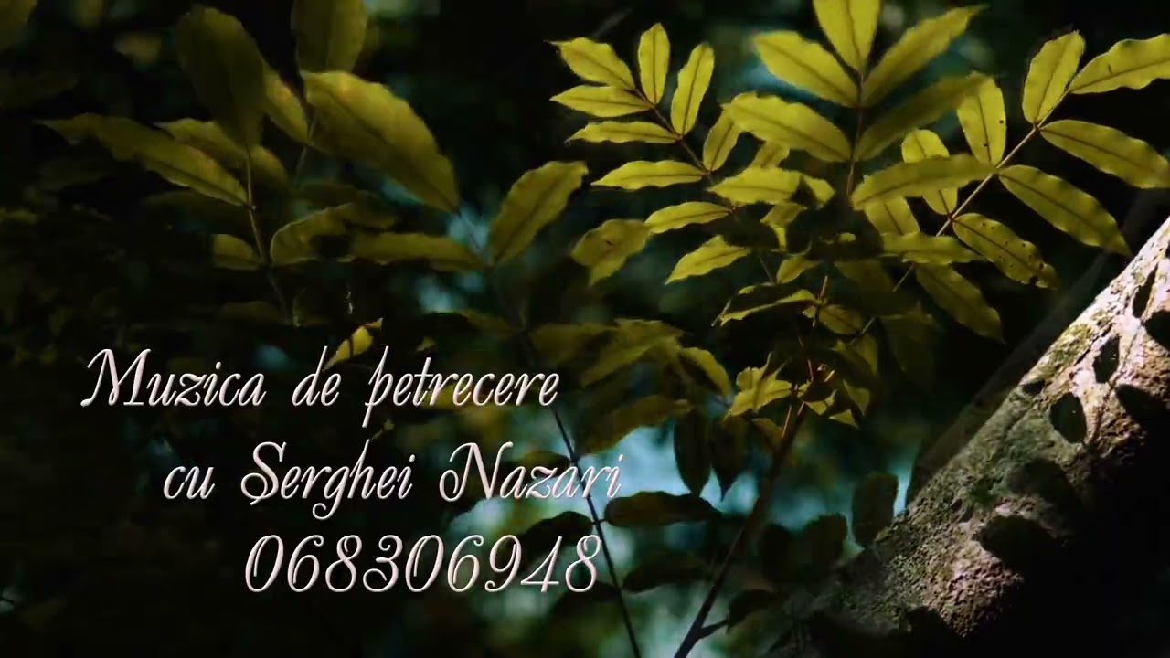 Omule calatorule✨️🔥Serghei Nazari.💥💥(Cover)-Tel-068306948