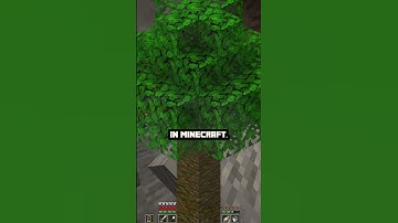 🌳 Minecraft Sapling to Tree Farm 🌲 | Guide & Tips | Gameplay Shorts 🎬