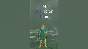 Pro Tips | 5 Best Armor / Outfits | Zelda Breath of the Wild #shorts #zelda #botw #speedrun #top