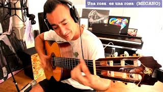 Video thumbnail of "Una rosa es una rosa (MECANO) por Javi Ros"