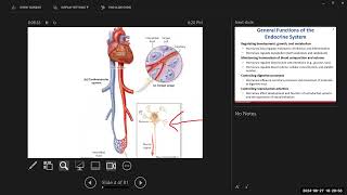 BIO 211 Lecture Chapter 17 Endocrine System Part 1
