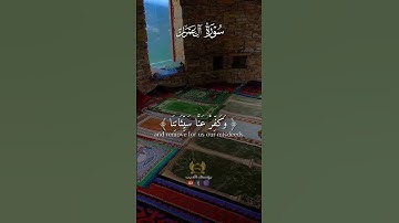 #قرآن سوره ال عمران 🕊️