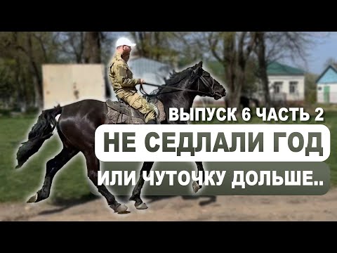 Видео: Выпуск 6.2 - нашли лошадей на Кавказе | Подбор | Александр Обжерин