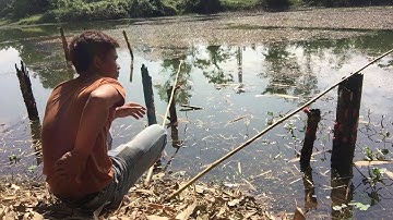 Đi câu cá sông hồng cùng với cao thủ câu cá nganh