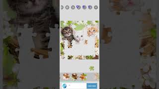 PUZZLE 10  #jigsaw  #jigsawpuzzle  #puzzle  #puzzle  #games #cat #kitten screenshot 5