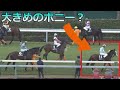 【ウマ娘ファンに知ってほしい現役馬メロディーレーン【小さく頑張り屋な女の子】