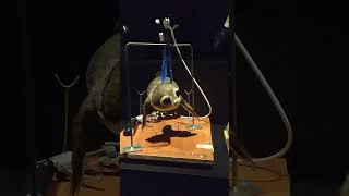 Star Wars props at Academy museum Los Angeles #starwars #sequeltrilogy #props