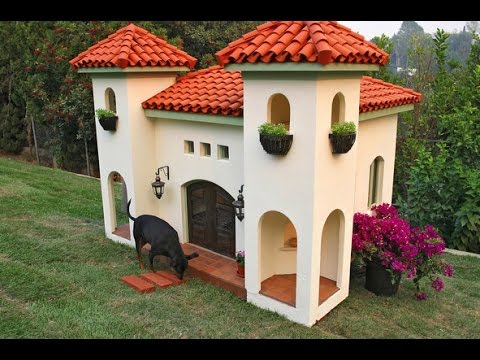 Ártico trampa Eso Casas para Perros | Ideas | Los Mejores Diseños | Las Más Bonitas del Mundo  - YouTube