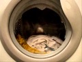 TEST :: Vanish Oxi Action Intelligence White