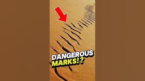 Run If You See These Marks ANYWHERE 😨 #viral