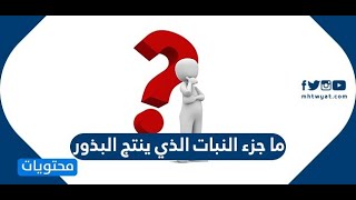 ما جزء النبات الذي ينتج البذور