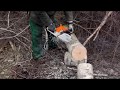 STIHL ms 260