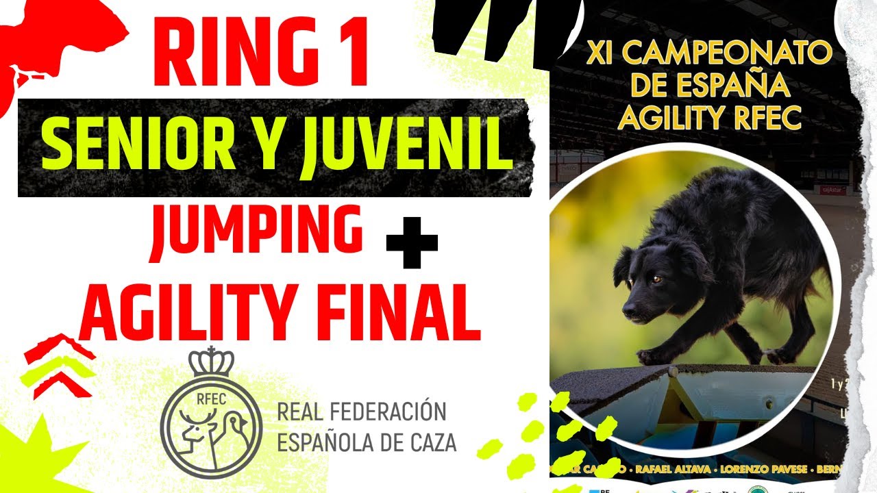 Campeonato de España AGILITY RFEC 2025  - RING 1: SENIOR Y JUVENIL