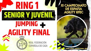 Campeonato de España AGILITY RFEC 2025 - RING 1: SENIOR Y JUVENIL
