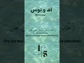 Ahh W Nouss Nancy Liriklagu Arabic Viral Trending Foryou Shorts Short 