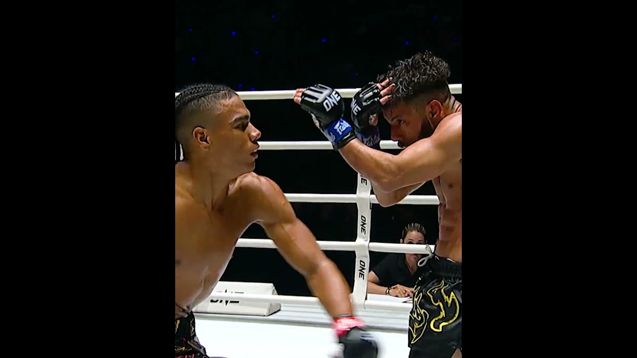 Panda Kick